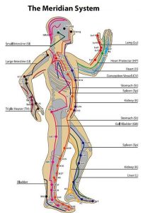 سیستم مریدین های بدن