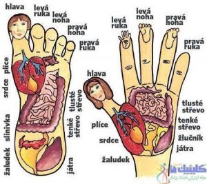 1006453_su-jok-prirodni-medicina-zdravi-lecba-chodidlo-ruka-masaz