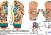 سوجوک تراپی یا طب سوزنی کره ای برای درمان درد و بیماری از طریق کف دست و پا-طب سوجوک درمانی