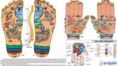سوجوک تراپی یا طب سوزنی کره ای برای درمان درد و بیماری از طریق کف دست و پا-طب سوجوک درمانی